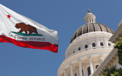 Rethinking Representation: The Reform California Urgently Needs.